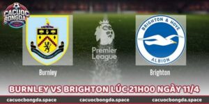 Phân Tích Soi Kèo Burnley Vs Brighton Lúc 21h00 Ngày 11/4